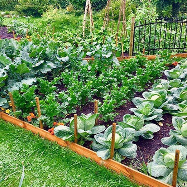 آماده-سازی-زمین-برای-کشت-سبزیجات